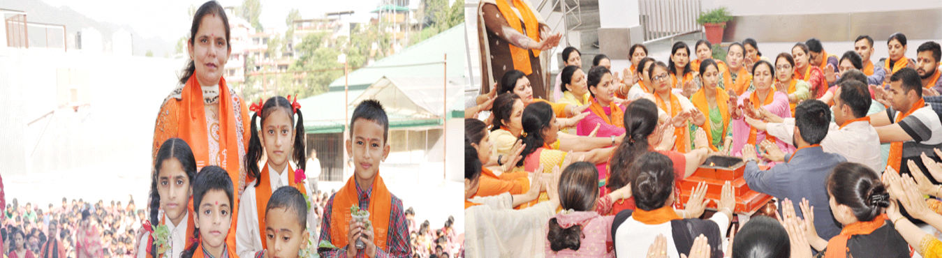 banner-image